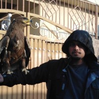 Suleman ghori