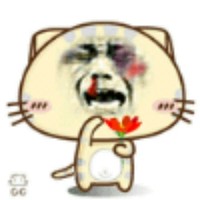 罗浩宏