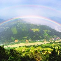 罗锦涛
