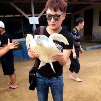 Yong jing hwa