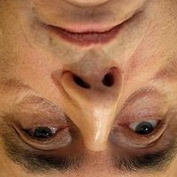 Realifa Keprofile