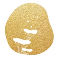 Xin Liu