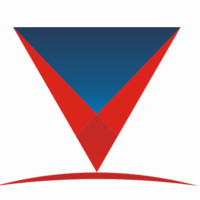 Vianna Consultoria Júnior