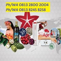 Agen Tahitian Noni Morinda Indonesia