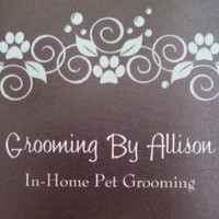 Allison Anson