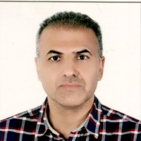 saeid shojaei