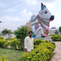 Balu S