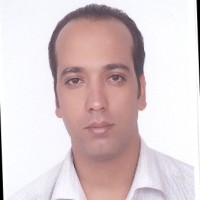 mojtaba bakhshi