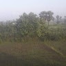 Nrusingha Sahoo