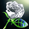 Bhoore Yadav