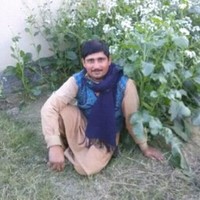 Afzal Ali