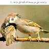 Tota Omr