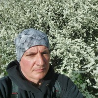 Attila Tordai