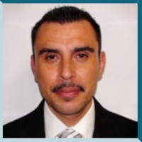 tostado de la cara Pingüino
