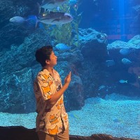 Alexander Nugraha
