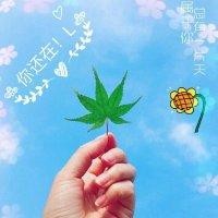 罗万海