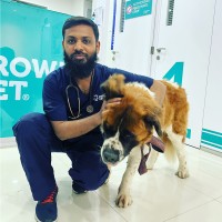 Anwar Ali Syed