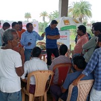 Dadi Srinivas