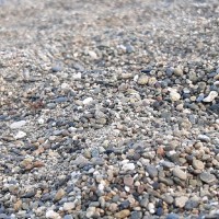 Mohammed Nadeem
