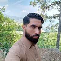 Naveed Ul Hassan