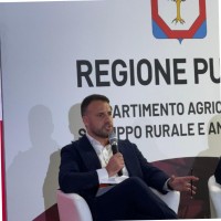 Graziano Defilippis