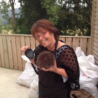 Lisa Wells