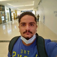 Hesham Elghol