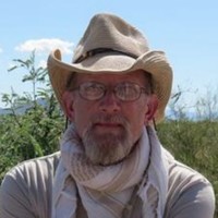Dwight Hull
