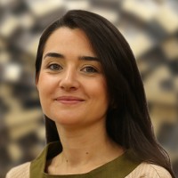 Yasemin Barlas