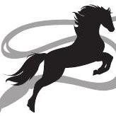 Stallion Tees