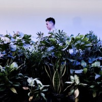 Andy. Lam