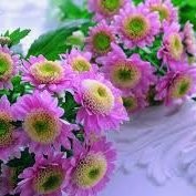 Sneha M R