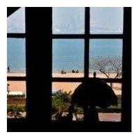 大卫独夫