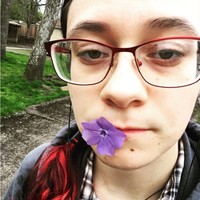 Lily Stehle