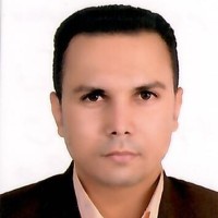 Mojtaba Ansari