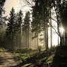Владислав Кравец