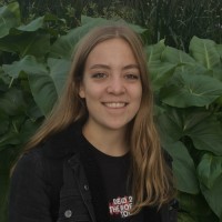 Anke De Kimpe