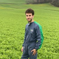 Gianmarco Giorgetti