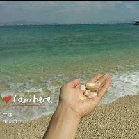 舒博涵