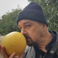 Nenad Kovacevic