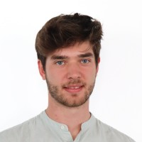 David Steiner