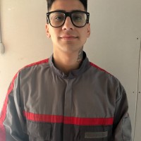 Luis Flores Godoy