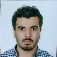 Mesut Demiralp