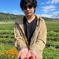 Hang Yin