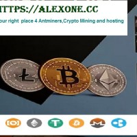 alexone uae