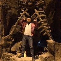 刘成法