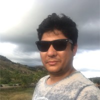Vikram Mehta