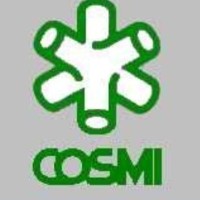 gruppo cosmi - Ravenna