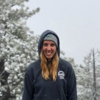 Lindsey Renner