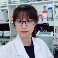 Vu Hong Vinh Quy